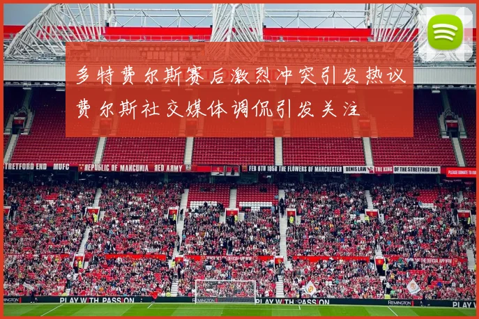 多特费尔斯赛后激烈冲突引发热议费尔斯社交媒体调侃引发关注