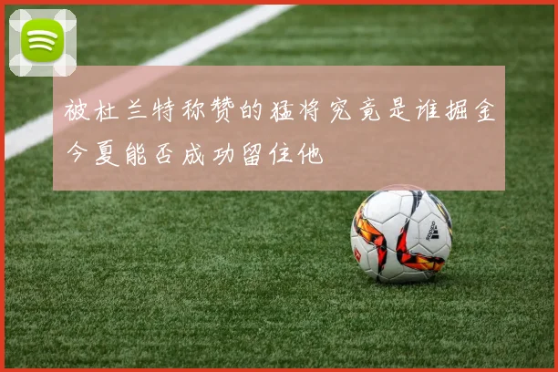 被杜兰特称赞的猛将究竟是谁掘金今夏能否成功留住他